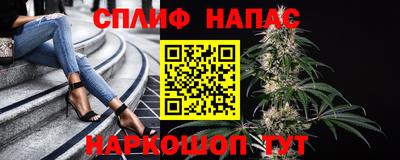 ешки Славгород