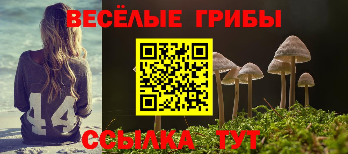 Псилоцибиновые грибы прущие грибы  закладки  Галлюциногенные грибы MAGIC MUSHROOMS  Новошахтинск  Вход с VPN 