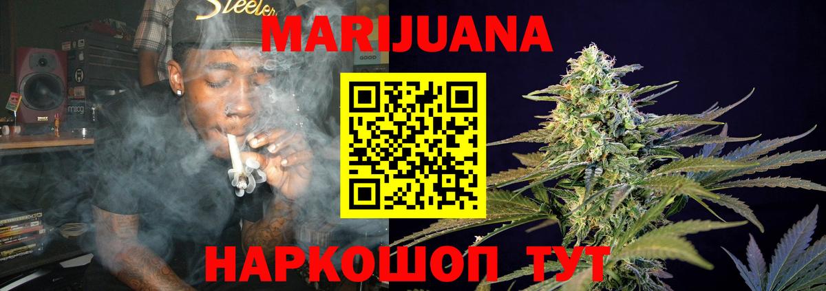 Бошки Шишки планчик Новошахтинск