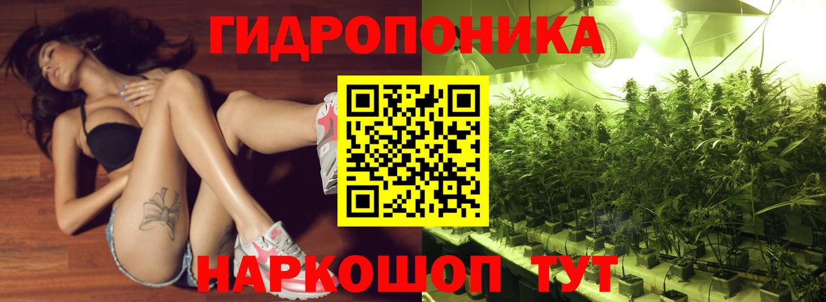 Новошахтинск  Каннабис план  Марихуана ГИДРОПОН  Вход с VPN  Марихуана планчик 